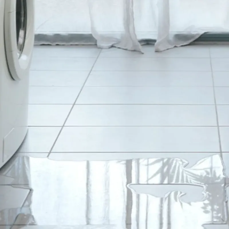 Appliance Leak Cleanup in Livingston, LA