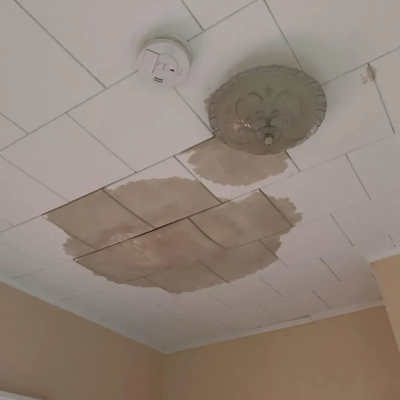 Ceiling Water Damage Repair in Livingston, LA